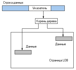       MS SQL  ADO