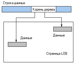       MS SQL  ADO